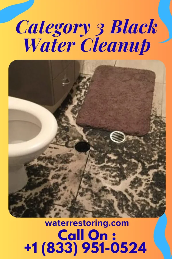 Category 3 Black Water Cleanup in Gloversville, NY