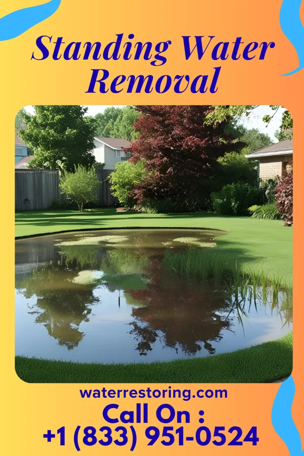 Standing Water Removal in Gloversville, NY